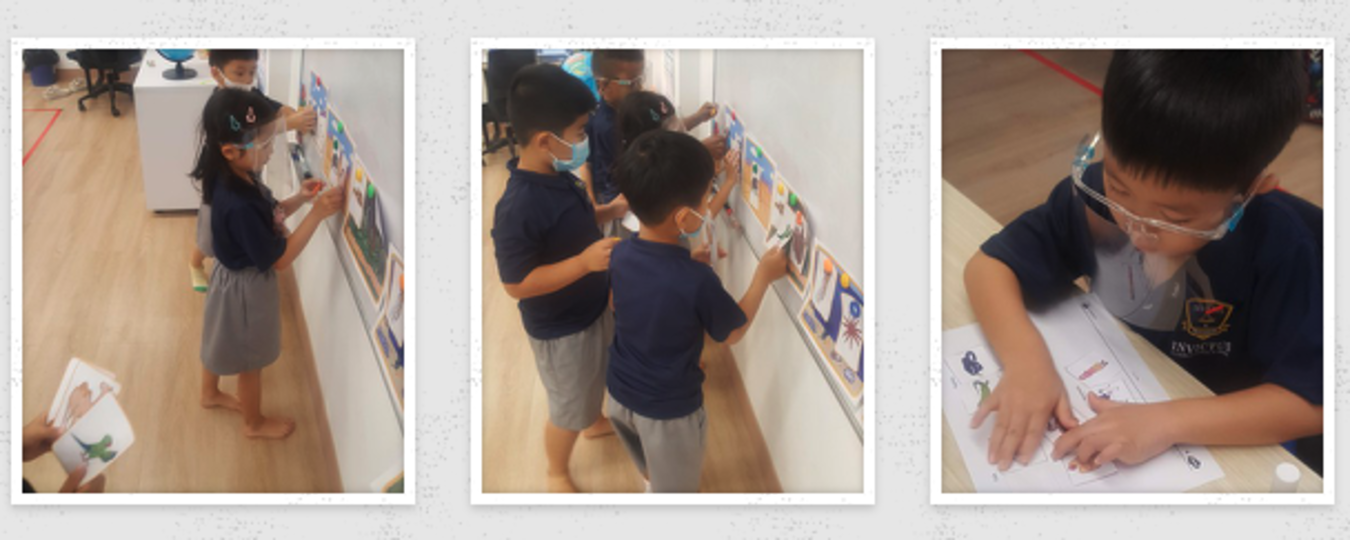 Weekly Newsletters